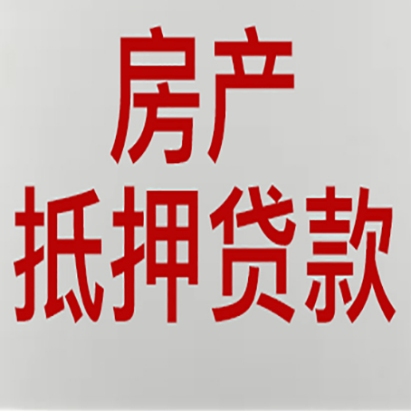 洛扎贷款中介公司新渝启服收入如何确定