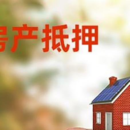洛扎抵押贷款用什么抵押物?
